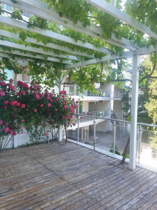 Studio Silver Terace With Sea View For 4 Person Beala Exterior foto